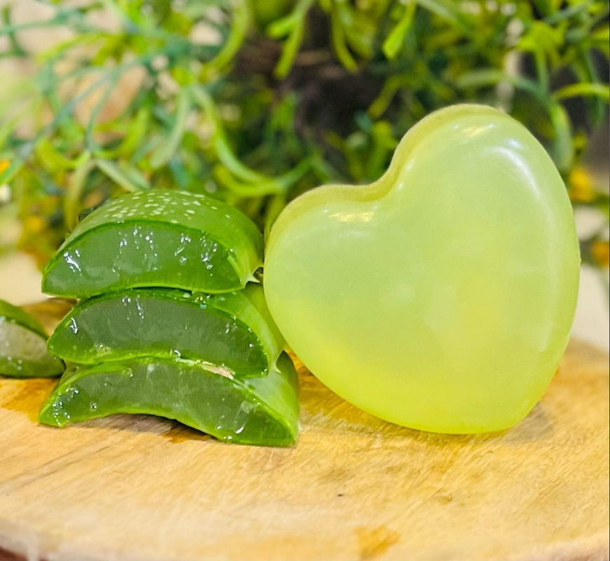 1000003303_336bc01e-7be5-476c-b056-456b59ce4ef3-4x