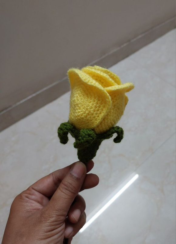 1000040132_2705100b-2384-4369-b8c2-82f3bea8e18f-4x