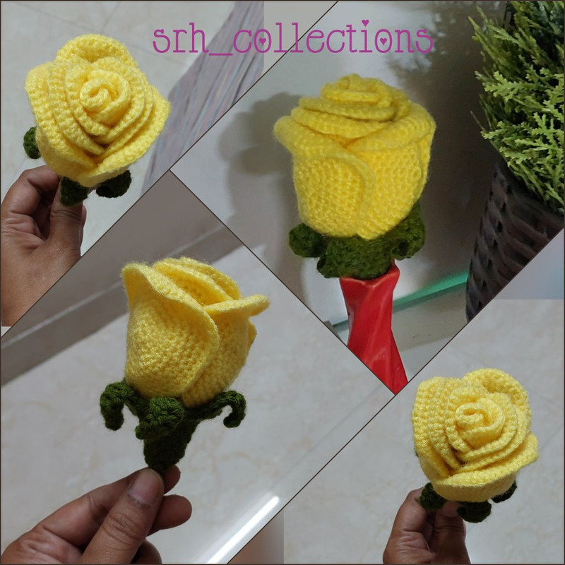 1000040510_4a211e80-6b13-4770-8be3-41b7c8959884-4x