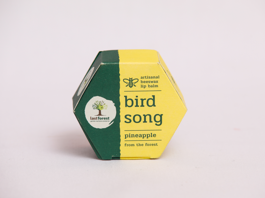 birdsong_068412c4-d7d9-4522-9b53-fa025b6fe391-4x