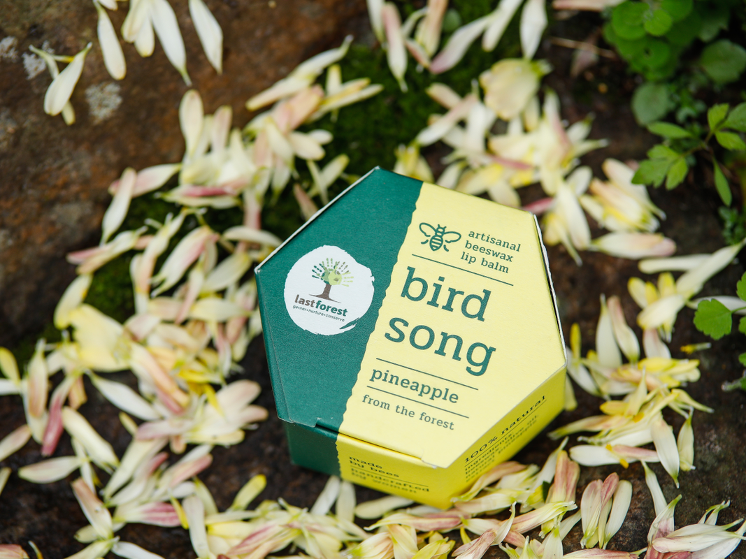 pineapplelipbalm1_d14061af-6e1e-418d-8c91-8637c5b5e36a-4x